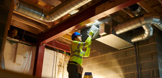 Air Duct Mold Removal in Day Valley, CA