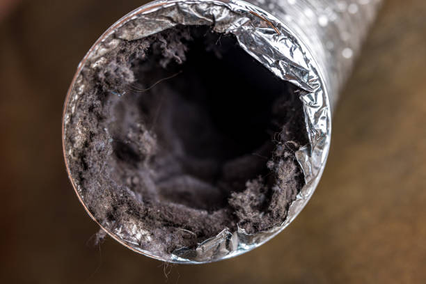Best Affordable Duct Cleaning Services  in Day Valley, CA