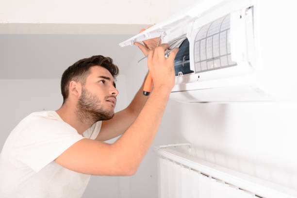 Best Air Duct Mold Removal  in Day Valley, CA
